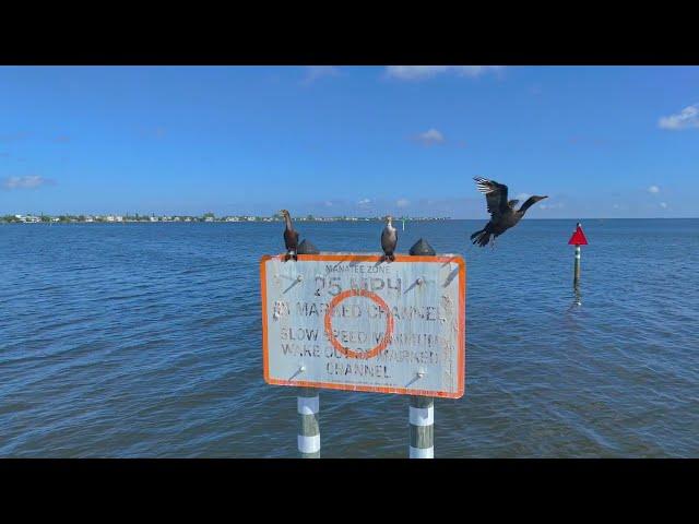 Kingfish Boat Ramp Anna Maria Island Florida 28.8.2024