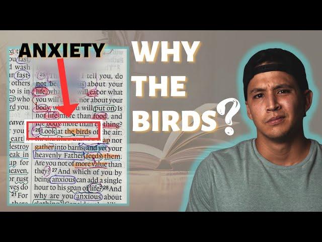 THIS Is Why Jesus Uses Birds To Address Anxiety | Beginner's Bible Study In Matthew 6