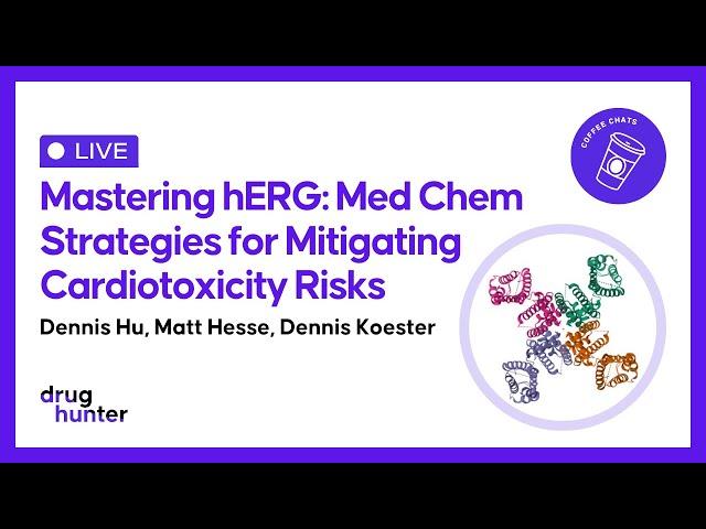 Mastering hERG: Med Chem Strategies for Mitigating Cardiotoxicity Risks