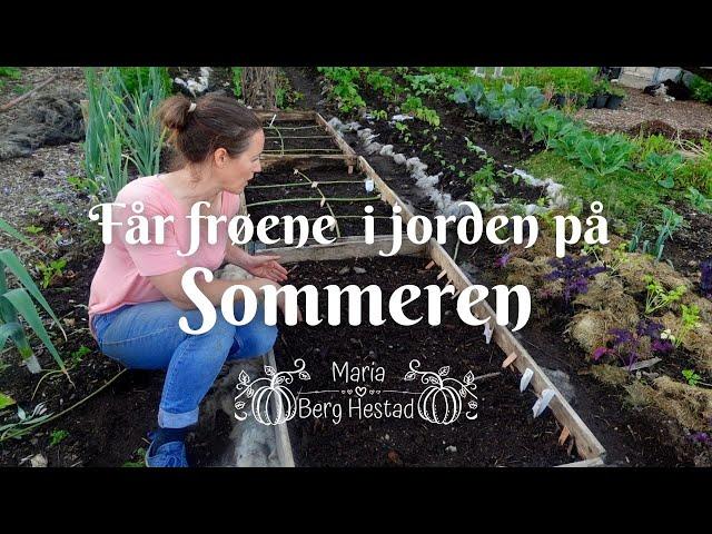 Få frøene i jorden på sommeren