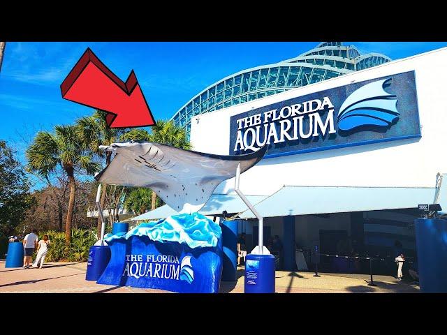 The Florida Aquarium Tampa Ultimate Full Tour 2024