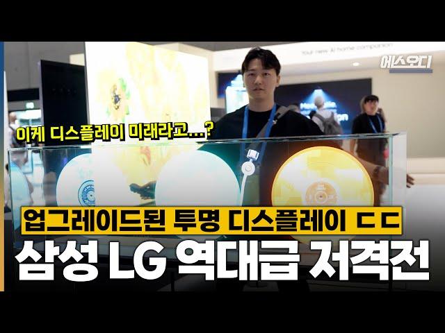 삼성️LG 자존심을 건 투명 디스플레이 저격전 | IFA Ep2