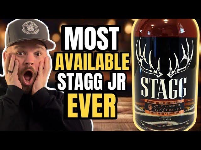 Stagg Jr Batch 24A The MOST AVAILABLE Stagg Jr EVER