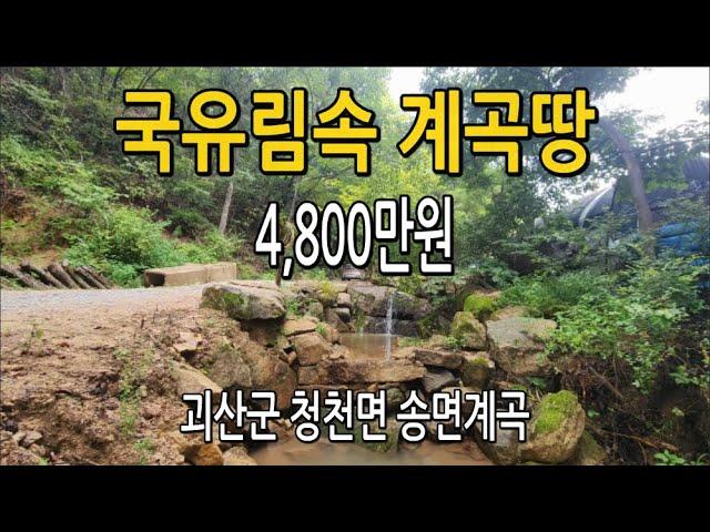 [계곡땅]속리산 국유림 300만평 자연 원시림 에서 심신을 치유 하실분 오세요!!#충청도땅매매#괴산땅매매#충북토지매매#청천면토지매매#시골땅매매#전원주택매매#농가주택매매#경기도땅매매