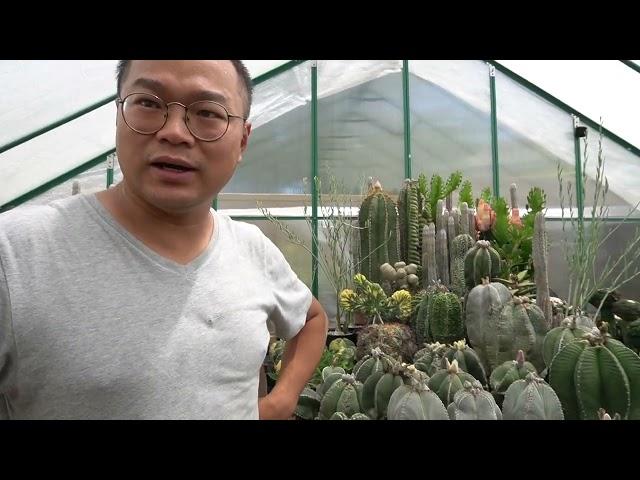 Jacks Favorite Plants and Why he uses plastic pots instead of ceramic.