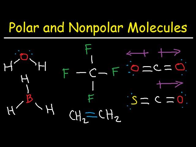 Polar and NonPolar Molecules: How To Tell If a Molecule is Polar or Nonpolar