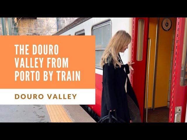 Douro Valley Wineries from Porto by Train