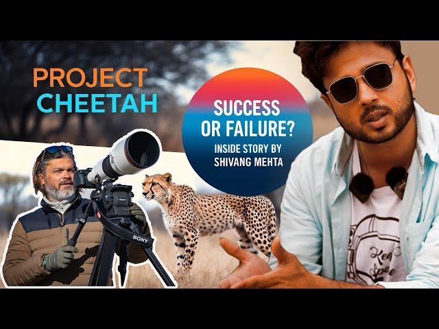 Cheetah Project: Success or Failure? | Is Artificial intelligence a Threat to wildlife Photography?