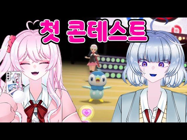 【포켓몬스터 브다】첫 콘테스트 참가【디오페레타/사미무해】