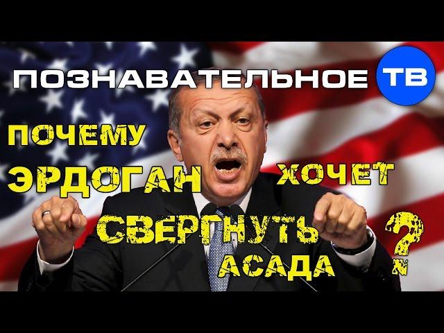 Почему Эрдоган хочет свергнуть Асада? (Познавательное ТВ, Артём Войтенков)