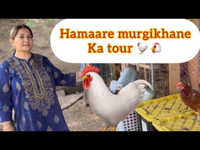 Canada ke ghar mein Hamaara murgikhana  #poultryfarming #murgichicks