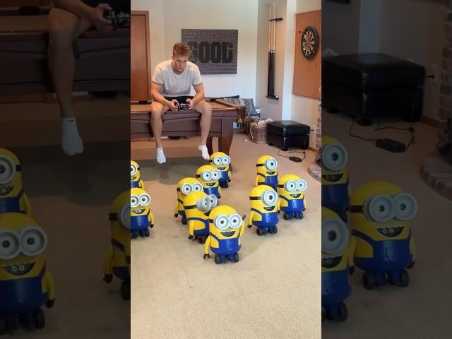 I MADE AN ARMY OF MINIONS