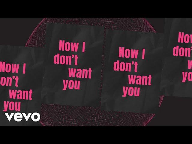 Riton, RAYE - I Don't Want You (Lyric Video)