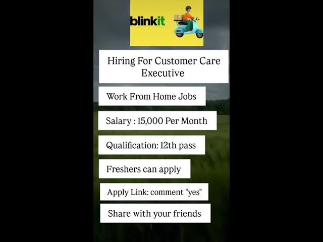 BLINK IT - WORK FROM HOME DISTRICT | 10TH PASS JOB | HYBRID JOB | HINDI JOB | EARN ONLINE #jobs2025