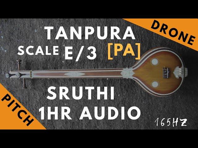 Tanpura Sruthi - Drone - E Scale or 3 Kattai - Pa (Panchamam/ Pancham) - 165Hz