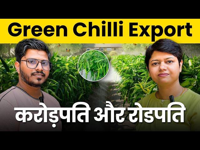 How to Export Green Chilli: A Complete Guide for Exporters | KDSushma