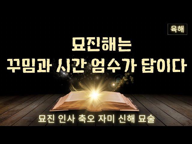 육해. 묘진해는 꾸밈과 시간 엄수가 답이다!