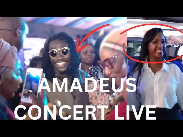 massamba Amadeus en concert live