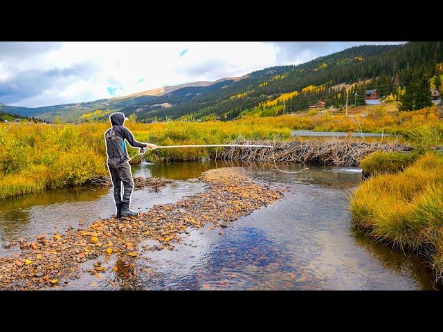 Streamer Fly Fishing for Big Trout for 2 Days! (Colorado Pt. 2)