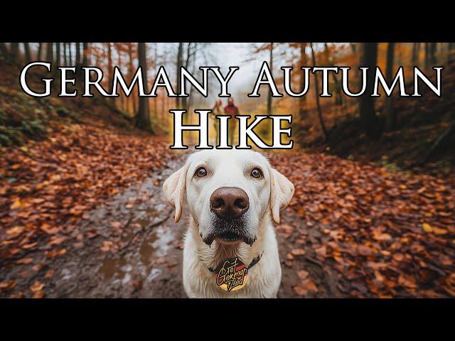 Herbstwanderung im Zwickenbachtal  Matsch, Blätter & wunderschöne Aussichten!