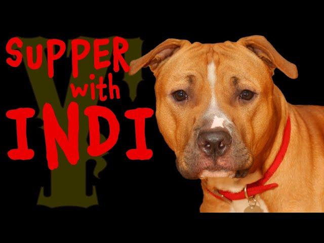 Supper with Indi 05/13/2024 #dog #live #livestream #youtubeshorts #yankeefree #podcast