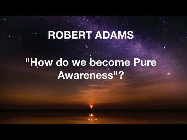 Robert Adams: "How do we become Pure Awareness"?