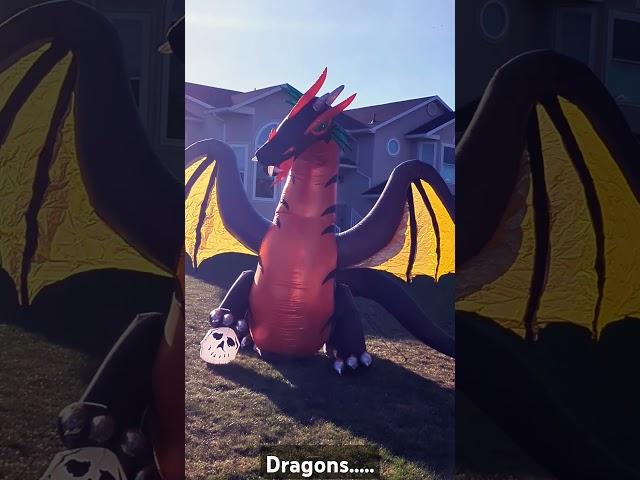 2 Dragon Inflatables #halloweeninflatables #dragon #halloween #inflatable #spooky #gemmy #dragons