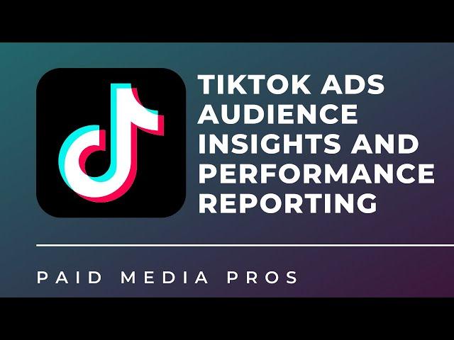 TikTok Audience Insights