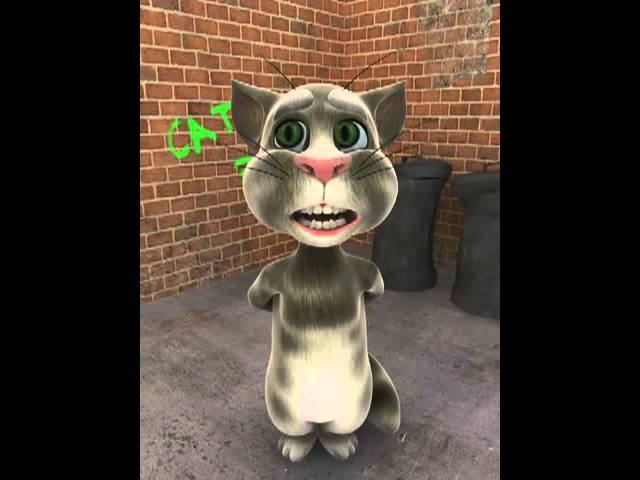 Til the world ends cat