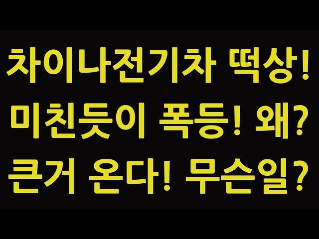 차이나 전기차 SOLACTIVE 주식 주가 전망 타이거 TIGER 중국 ETF 비야디 테슬라 니콜라 루시드 엔비디아 아이온큐 TQQQ SOXL TMF 큰거 올 준비?