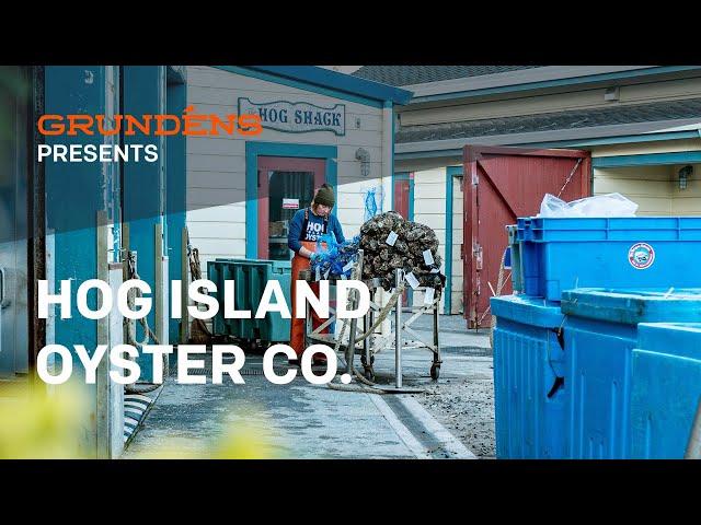 Grundens Presents: Hog Island Oyster Co.