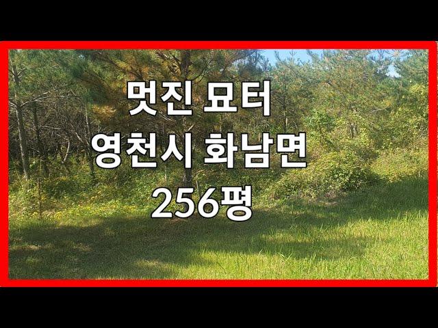 영천묘터매매 054-336-8150 영천가족묘터 영천부동산 영천공인중개사