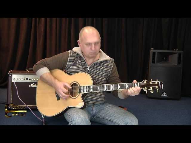 Bip Bop - Paul McCartney. Исполняет Сергей Антипов. Guitar College Moscow