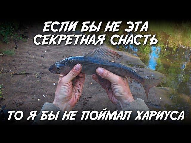 Если бы не эта секретная снасть, то я бы не поймал хариуса