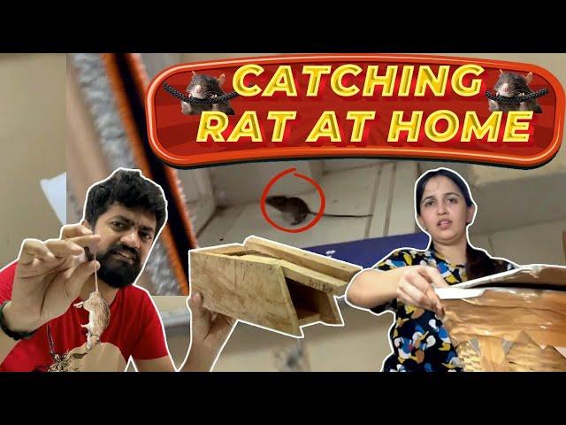 CATCHING 6 RATAT HOME | RAT ATROCITIES | FULL RUNNING & CHASING VLOG #vivekjadoo #deepikavivek