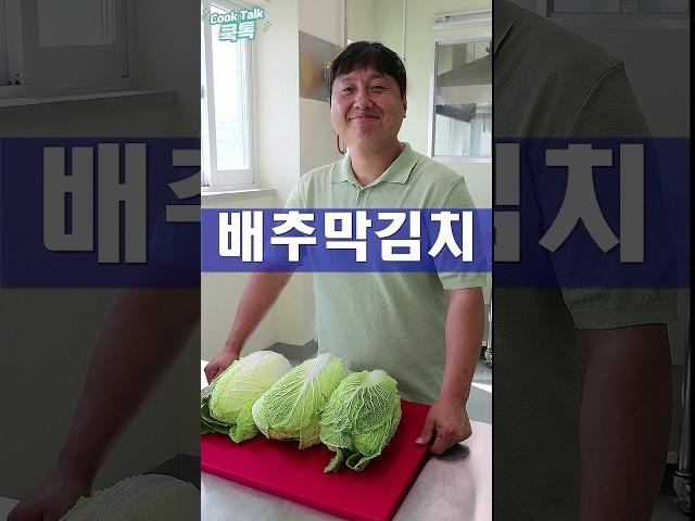 막김치 / 배추겉절이 / 배추김치 / 맛김치 #막김치 #배추김치 #레시피