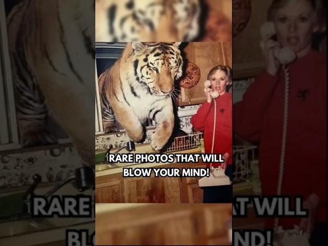 Rare and Emotional Photos You’ve Never Seen Before!