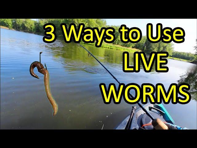 How to Catch a Fish With a Live Worm for Bait - 3 Ways (Beginner Fishing Tips)