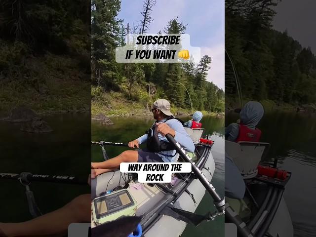 So sick #flyfishing