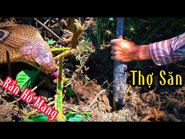 Cần Đước - NGÀY VỀ| Mười Thương Săn Bắt