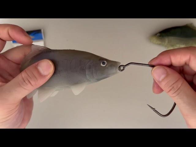 Yunique Baits 6” Mirror Carp (rigging)