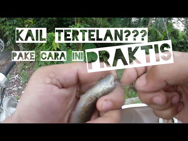 cara mudah melepas kail pancing tertelan ikan lele gabus channa limbata dll