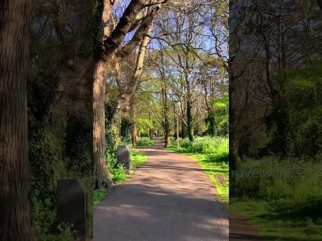 Walking in the woods | #relaxation #walking #nature #garden #england