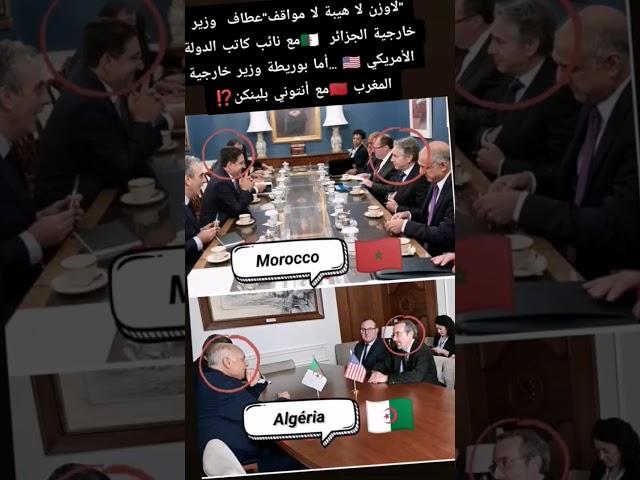 "لا وزن لا هيبة" تتجلى في هذه الصورة vs #المغرب #الجزائر #اكسبلور