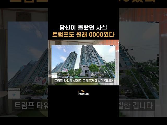 미국 트럼프 대통령을 만들어준 "그 직업"