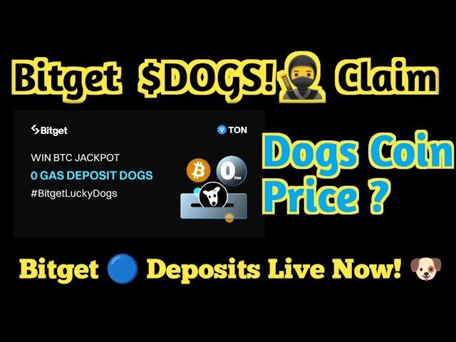 Bitget Dogs Coin Price ? Bitget Deposit live Claim Daily Gauro Fikar