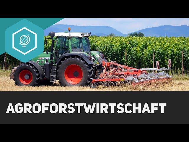 Agroforstwirtschaft