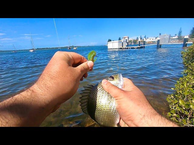 Marina Fishing with Zman 2.5 inch grubz