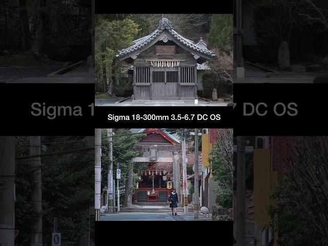 Sigma16-300mm  F3.5- F6.7 DC OS lens.