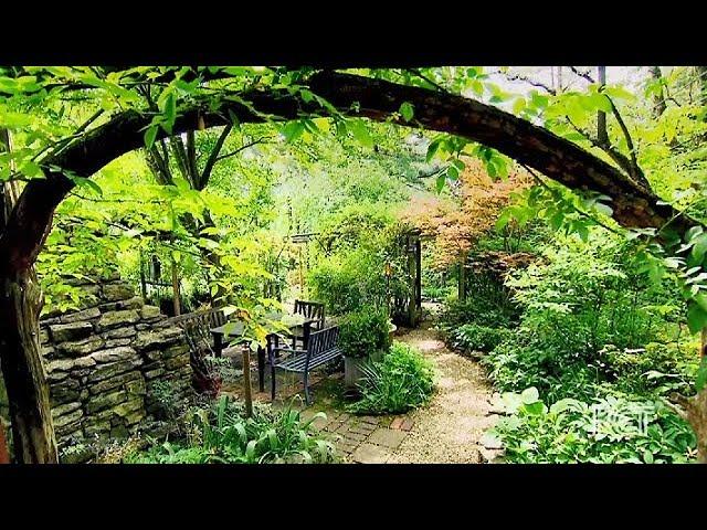 Colorful Woodland Garden, Berea, USA